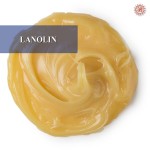 Lanolin small-image